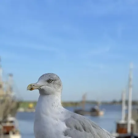 Friesenhuuske 2 * غريتسيل